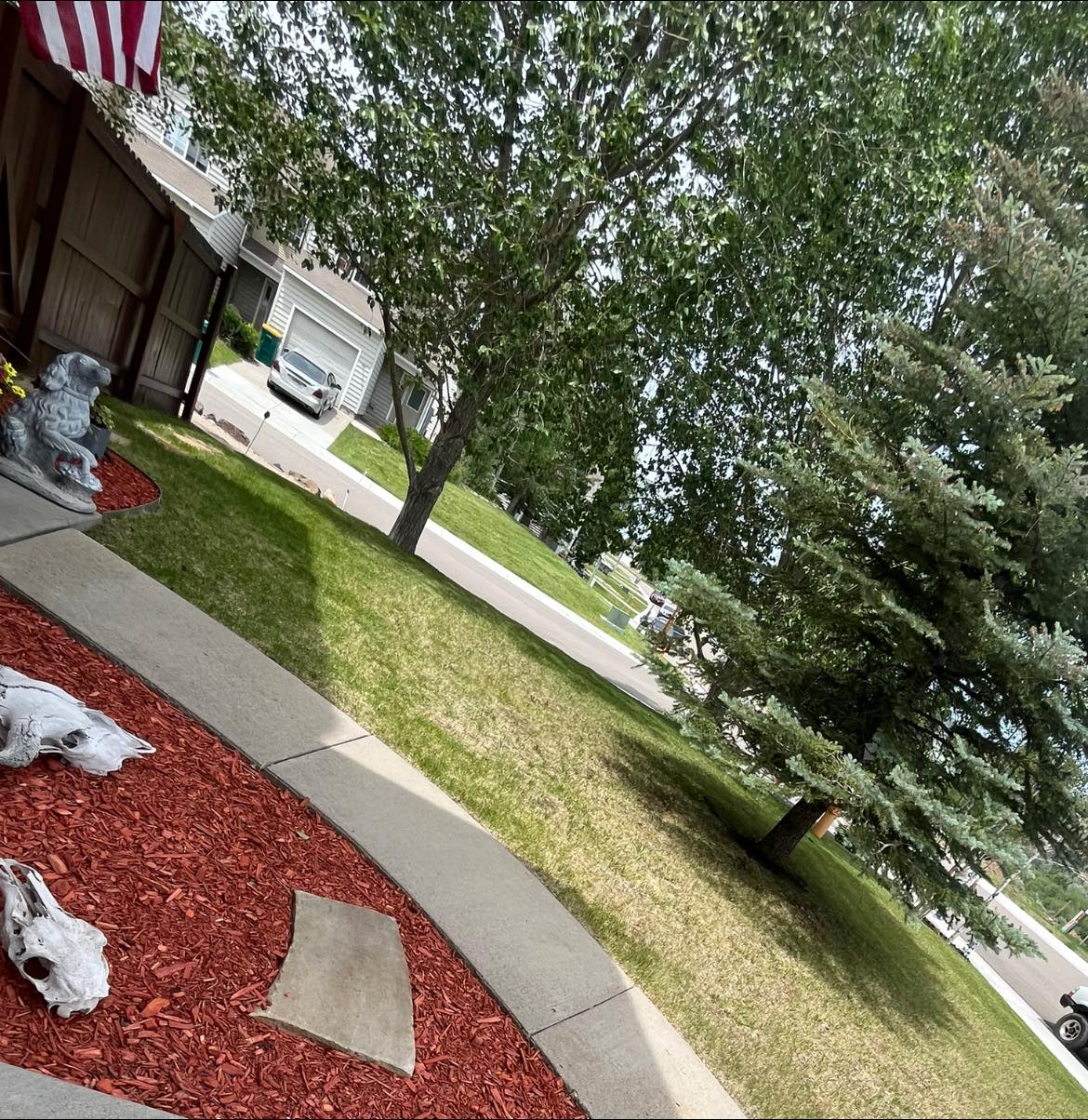 Manicured front lawn with mulch beds